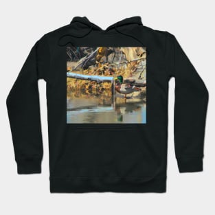 Mallard illustration Hoodie